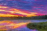 Swale Sunrise_35275-7